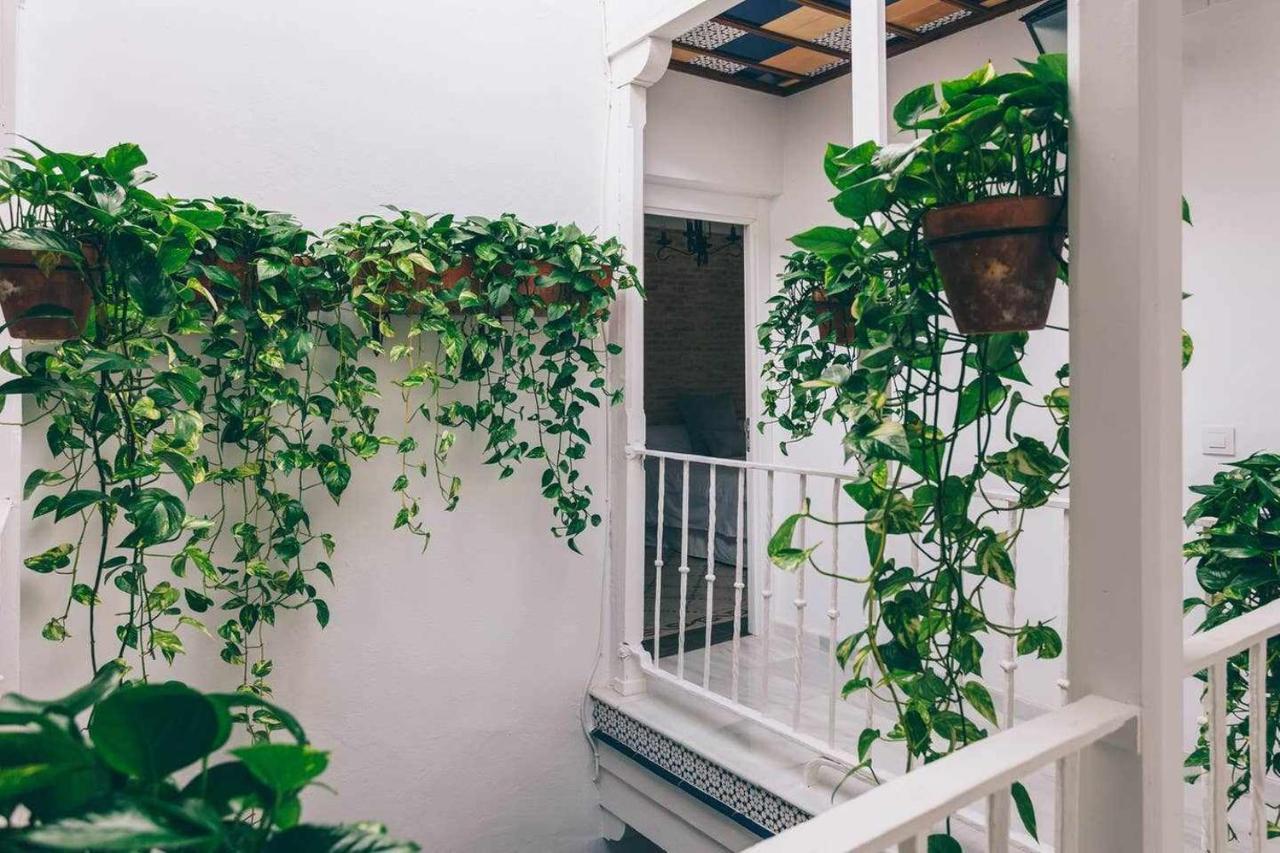 Quarto em Acomodações Particulares Alcázar De María *